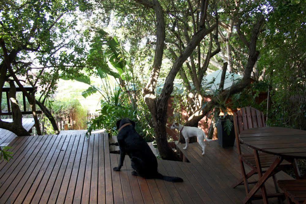 Zen Guesthouse Jeffreys Bay Bagian luar foto